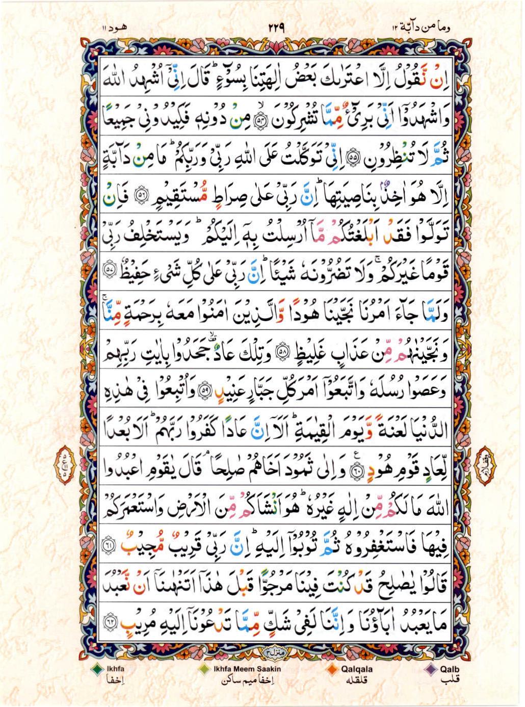 15 Lines Color Coded Al Quran Juz 12 Page 229