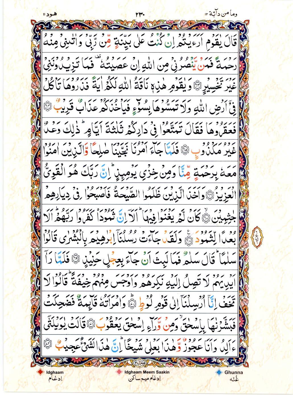 15 Lines Color Coded Al Quran Juz 12 Page 230