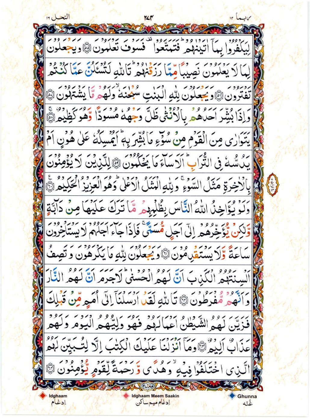 15 Lines Color Coded Al Quran Juz 14 Page 274