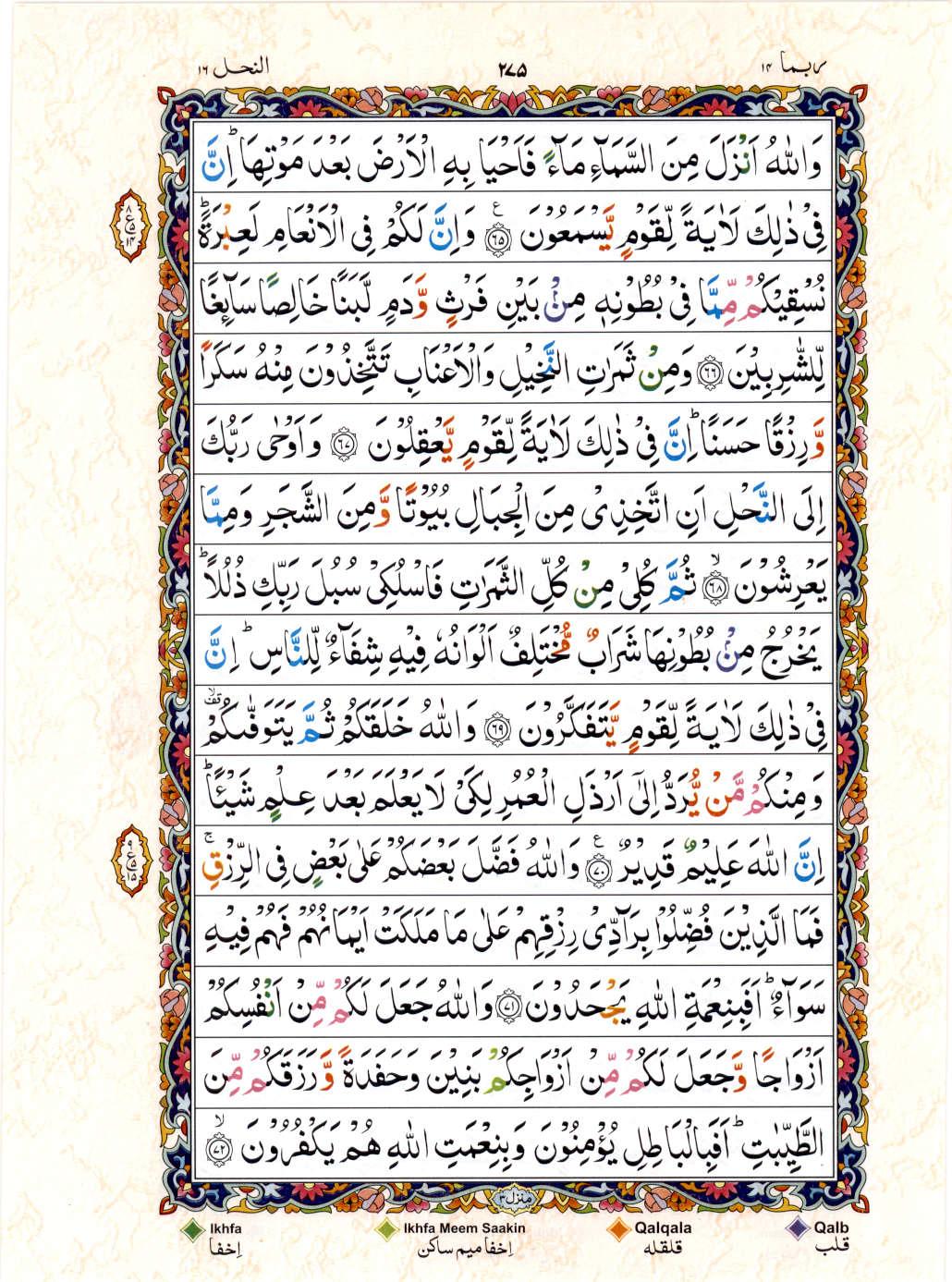 15 Lines Color Coded Al Quran Juz 14 Page 275