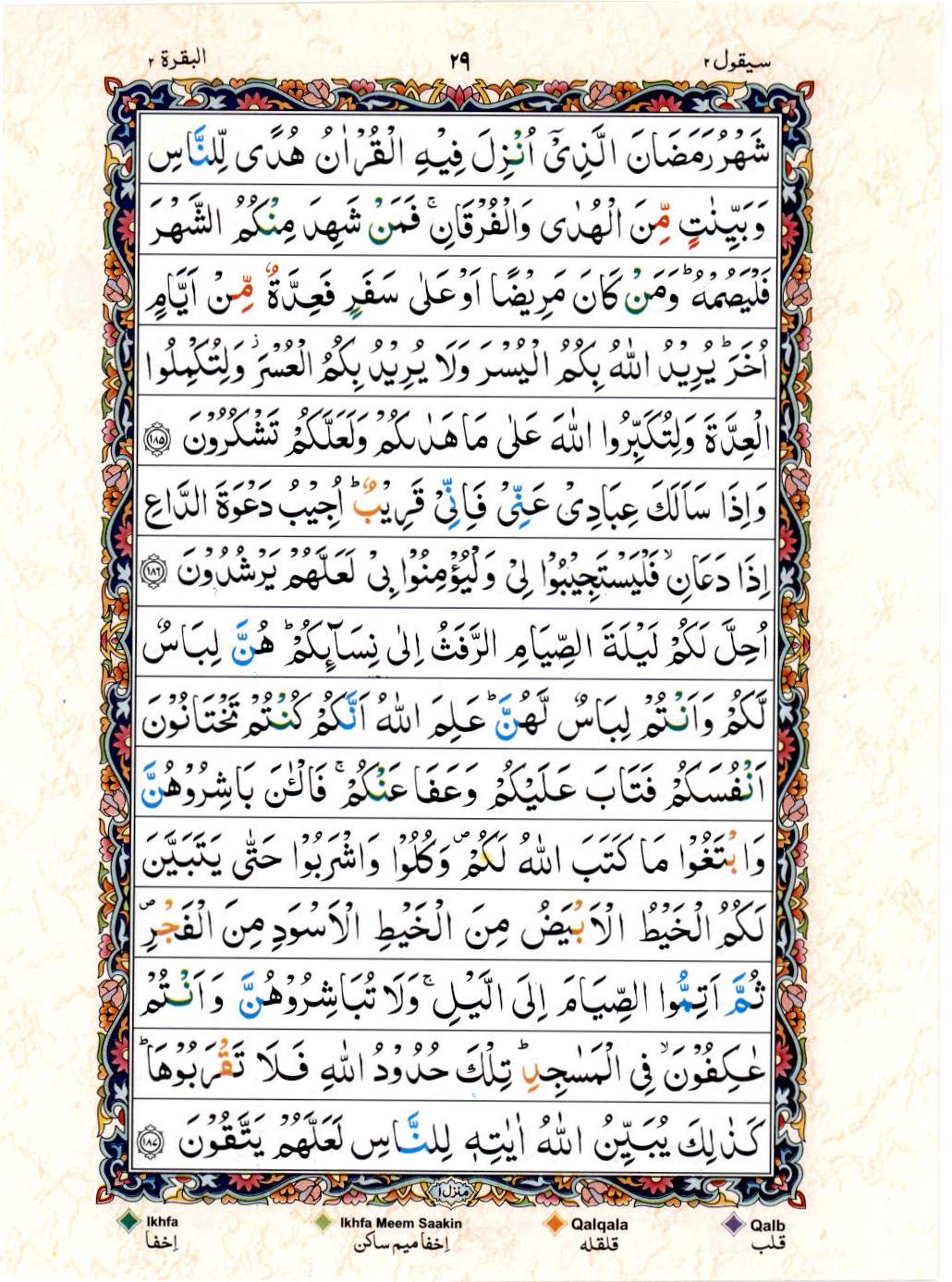 15 Lines Color Coded Al Quran Juz 2 Page 29