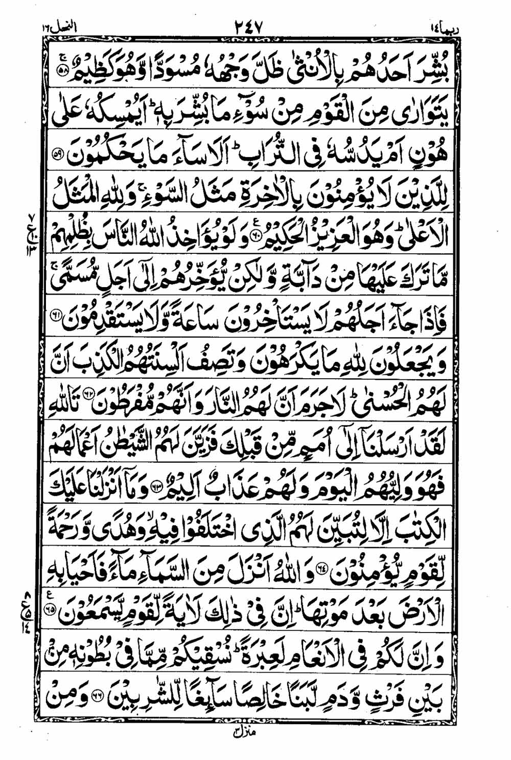 16 Lines Al Quran Part 14 Page 248