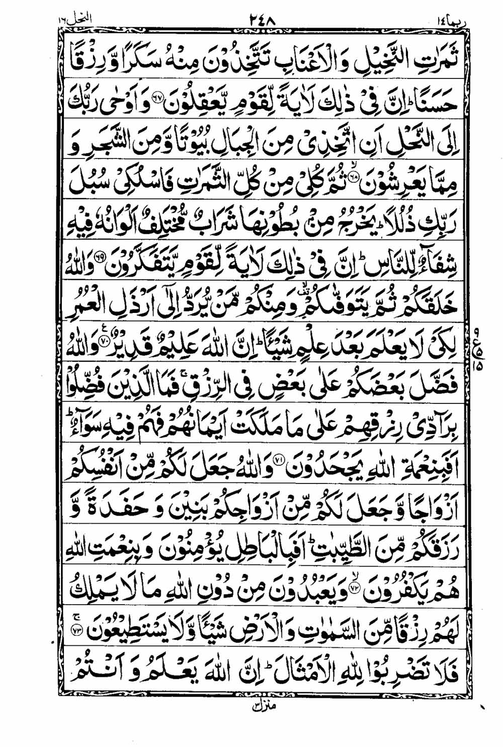 16 Lines Al Quran Part 14 Page 249