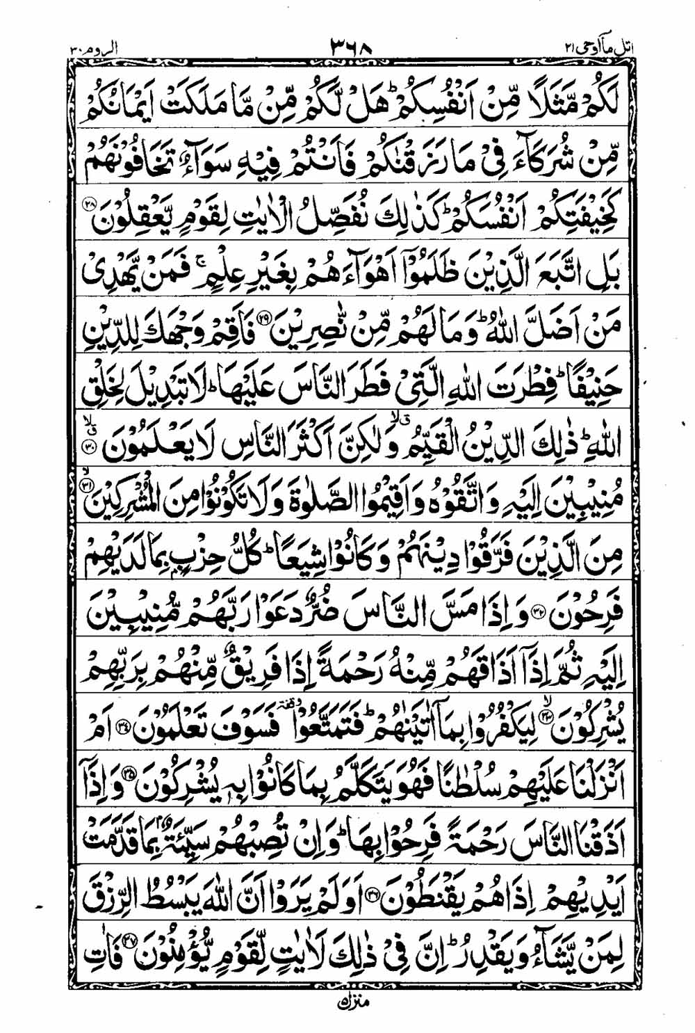 16 Lines Al Quran Part 21 Page 369