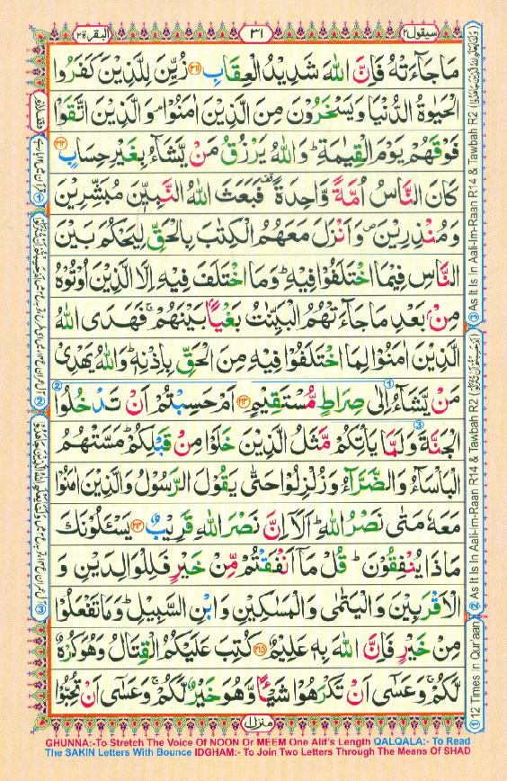 16 Lines Color Coded Al Quran Parah 2 Page 31