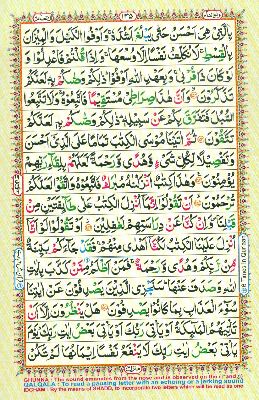 16 Lines Color Coded Al Quran Parah 8 Page 135